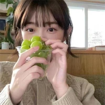 拳外重生