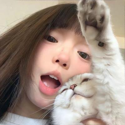 离狼之歌