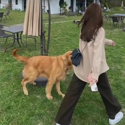 寡妇之恋